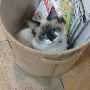 Meet your Posher, Stacey